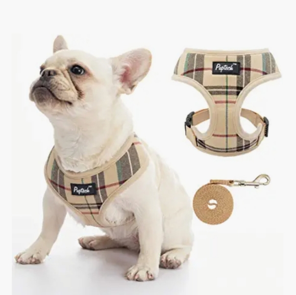 New! Dog Harness and Leash Set